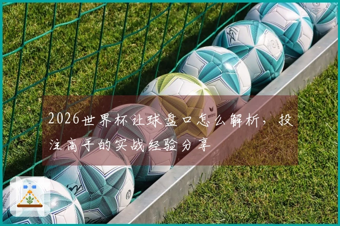 2026世界杯让球盘口怎么解析，投注高手的实战经验分享