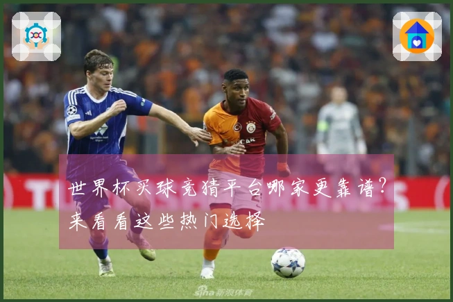 世界杯买球竞猜平台哪家更靠谱？来看看这些热门选择