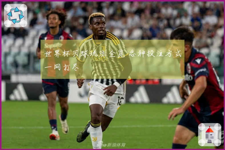 世界杯买球玩法全览 各种投注方式一网打尽