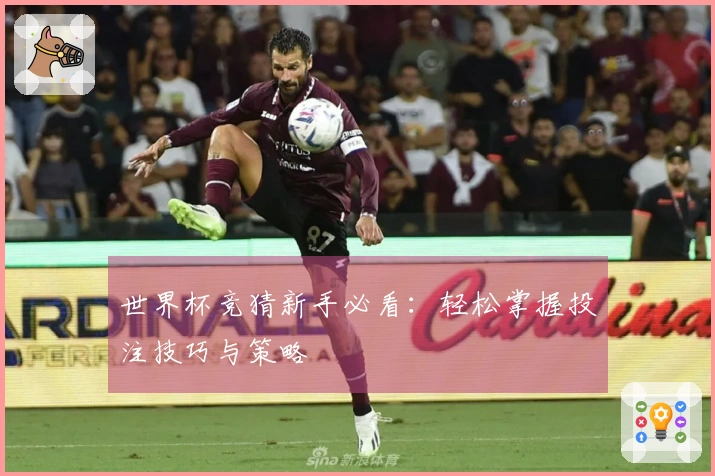 世界杯竞猜新手必看：轻松掌握投注技巧与策略
