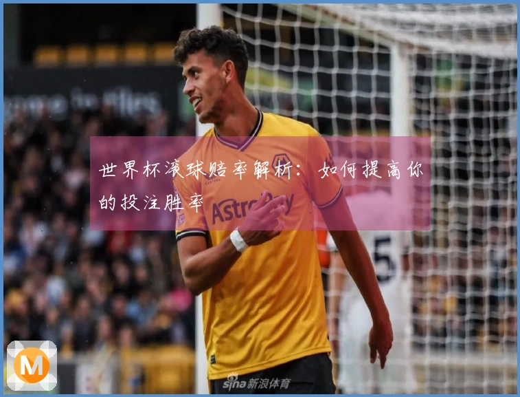 世界杯滚球赔率解析：如何提高你的投注胜率