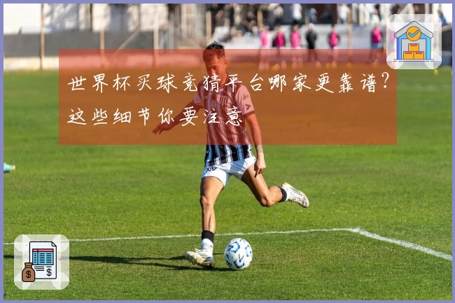 世界杯买球竞猜平台哪家更靠谱？这些细节你要注意