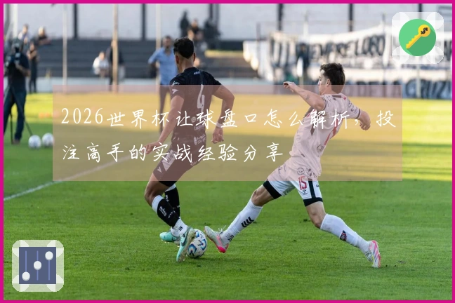 2026世界杯让球盘口怎么解析，投注高手的实战经验分享