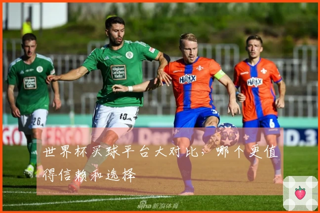 世界杯买球平台大对比，哪个更值得信赖和选择