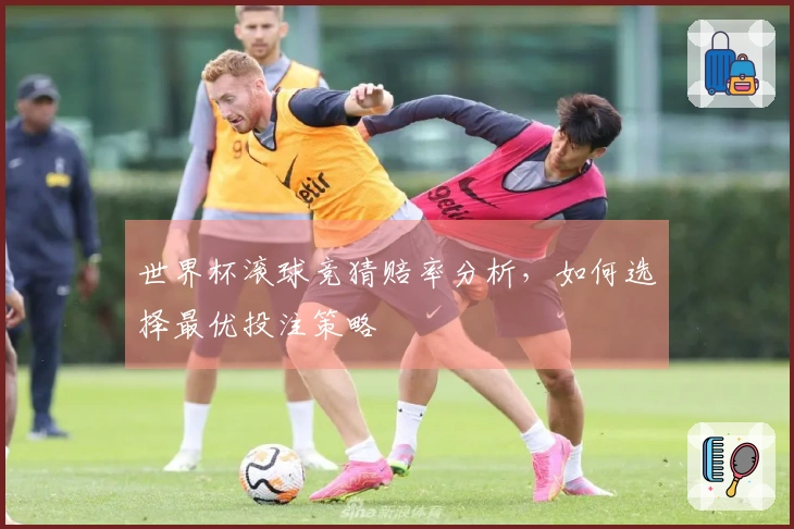 世界杯滚球竞猜赔率分析，如何选择最优投注策略